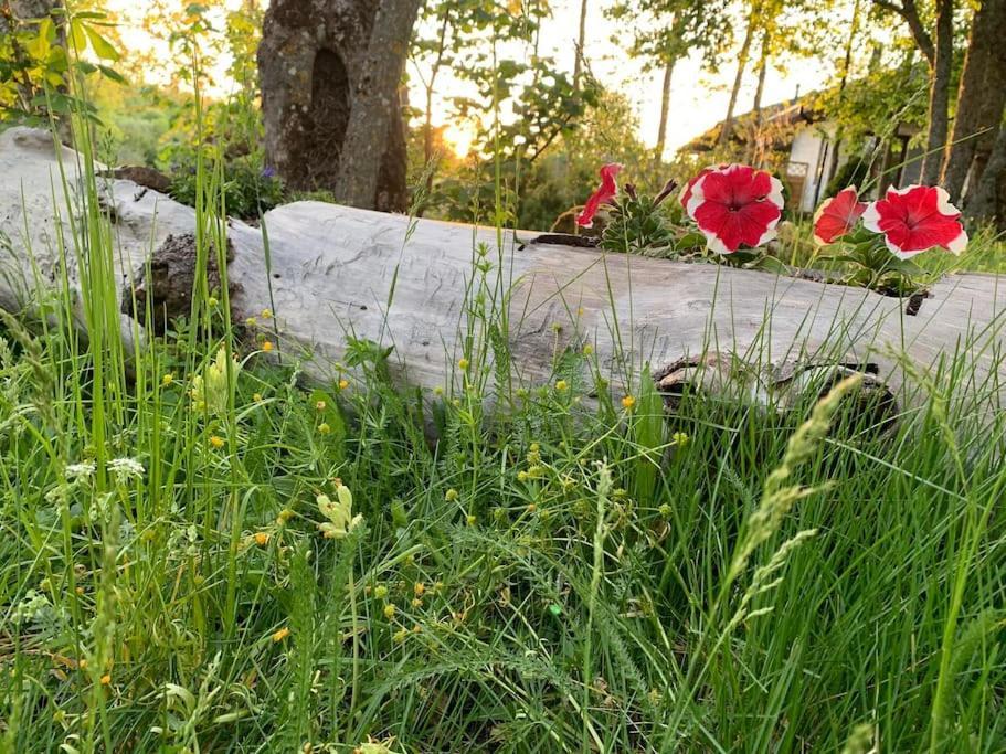 Small Cozy 3-Room House With Terrace & Large Garden Ilmandu Екстер'єр фото